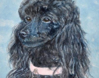 May include: A watercolor painting of a black poodle with a pink collar and a yellow tag. The dog has dark eyes and a fluffy coat. The background is a light blue color.