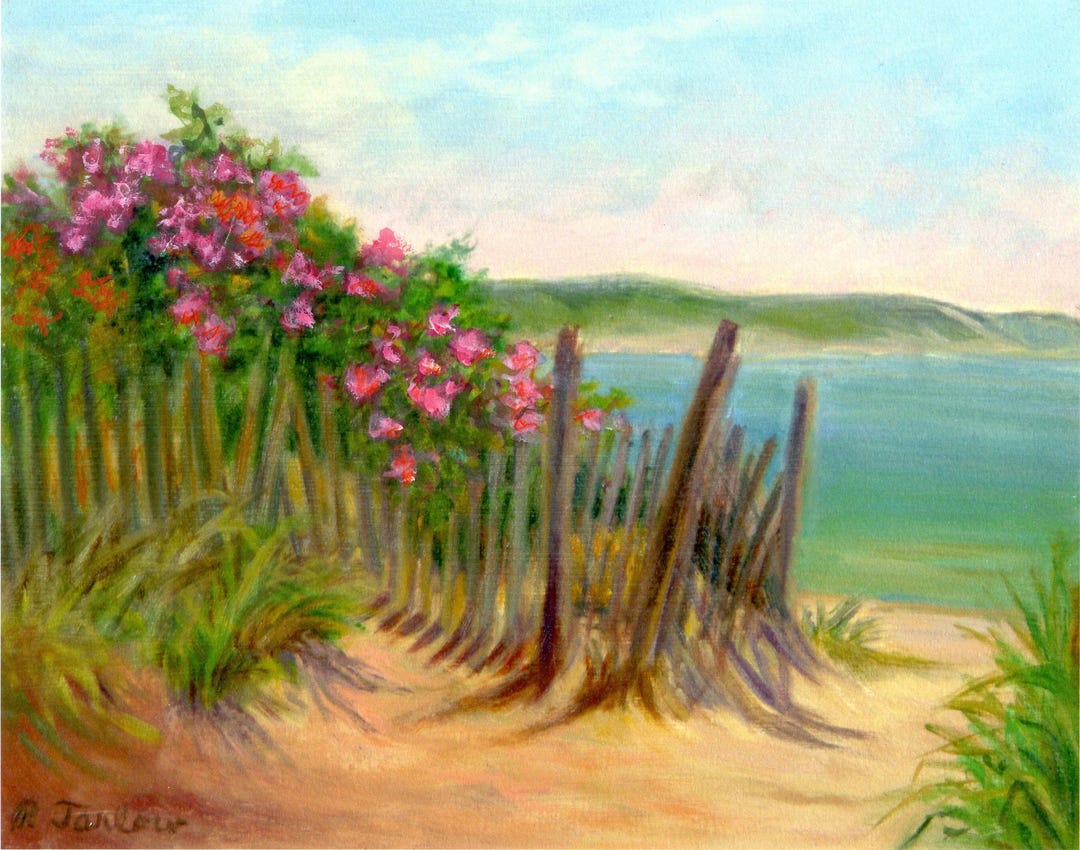 Cape Cod Beach Roses Art Print, Cape Cod Beach Landscape, Dune Fence ...