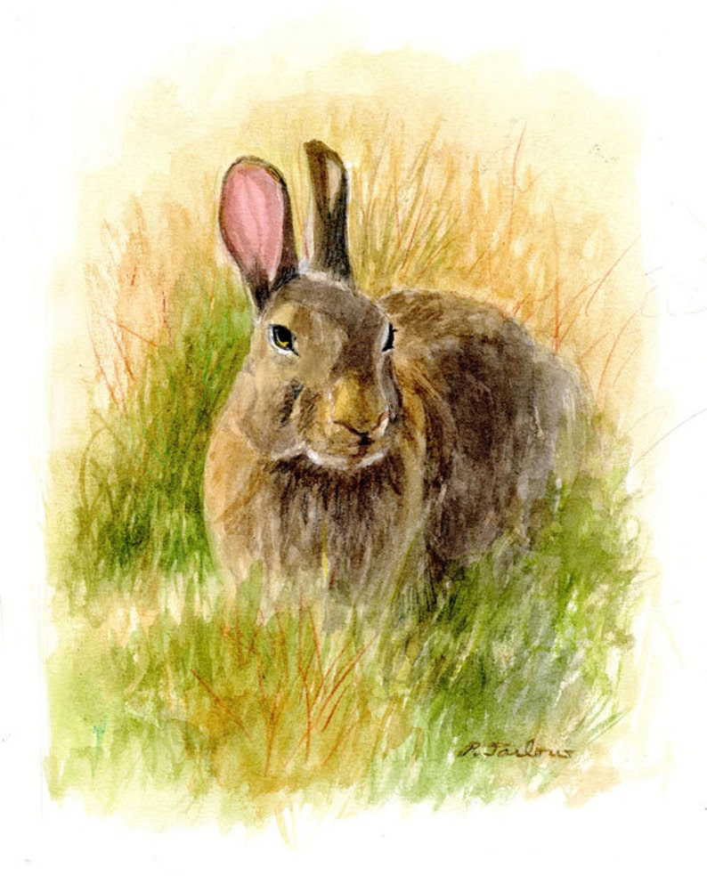 May include: Watercolor painting of a brown rabbit sitting in green grass. The rabbit has pink ears and is looking directly at the viewer.