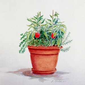Red Pepper Plant Watercolor Art Print, Red Peppers and Terracotta Planter Print, Floral Art, Room Decor Wall Art from Painting by P. Tarlow