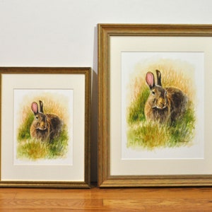 May include: Two framed watercolor paintings of a brown rabbit sitting in a field of green grass. The rabbit in the larger painting is looking directly at the viewer. The rabbit in the smaller painting is looking to the side.