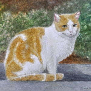 Orange and White Cat In Garden Art Print, Orange and White Cat Watercolor, Cat Art Print, Cat in Garden Painting by P. Tarlow