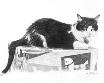 Black and White Cat Drawing Art Print, Tuxedo Cat Pencil Drawing, Cat BW Drawing Print, Cat Pencil Drawing by P. Tarlow