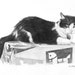 see more listings in the Animal Drawing BW Prints section