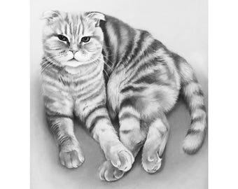 鉛筆で描いた猫のポートレート、ペットの似顔絵、猫好きの方へのクリスマスプレゼント