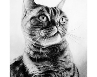リアルな猫の絵、カスタムペットの肖像画、手作りの鉛筆画のクリスマスプレゼント