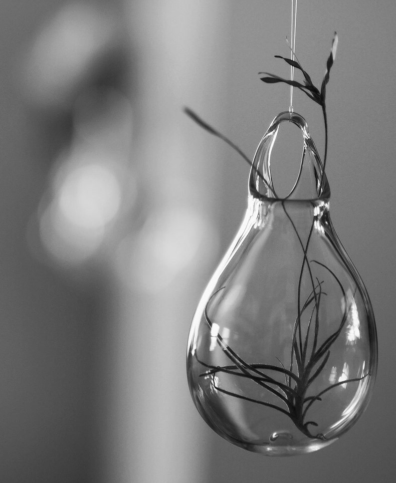 Hanging Wall Vase Hand Blown Glass Art Transparent Clear Etsy