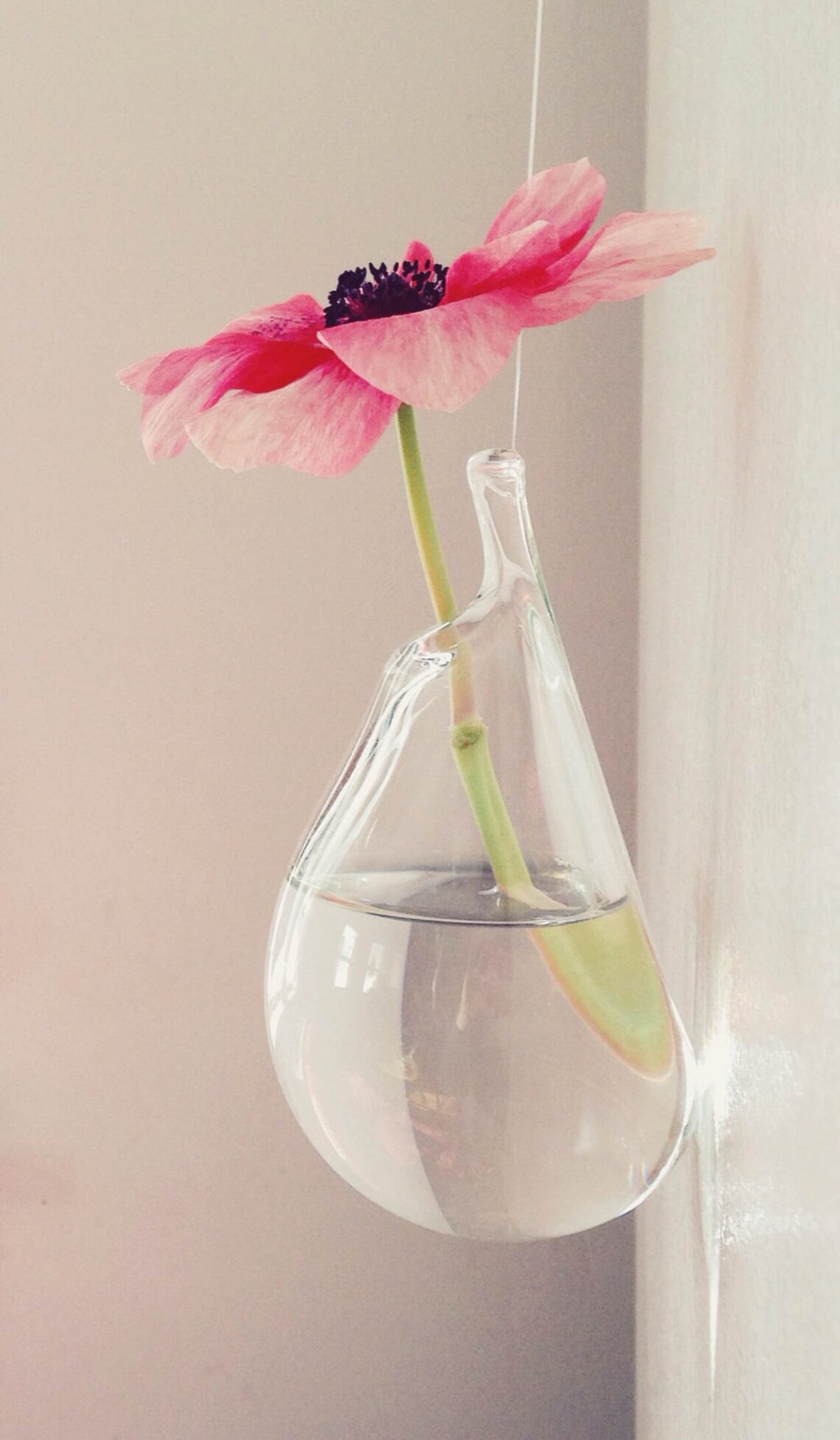 Hanging Wall Vase Hand Blown Glass Art Transparent Clear Etsy