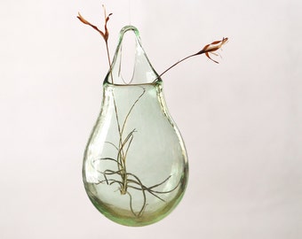 Glass Terrarium Vase / Hand Blown Glass Vase/ Transparent Pale Green / Flower Vase / Wall Decor