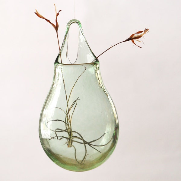 Glass Terrarium Vase / Hand Blown Glass Vase/ Transparent Pale Green / Flower Vase / Wall Decor