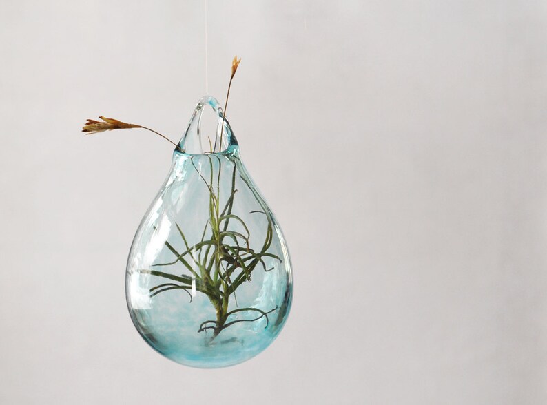 Air Plant Vase / Hand Blown Glass Vase/ Transparent Pale Blue Etsy