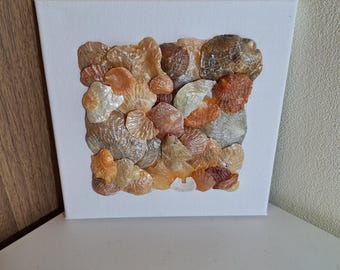 Seashell Square "Bronze" Canvas Artwork, handmade, unique & sustainable