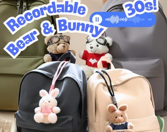 Voice Message Plush Keychain Bunny & Teddy Bear Custom Recordable Stuffed Animal for Daily Motivation Love Notes Long Distance Gift Keychain