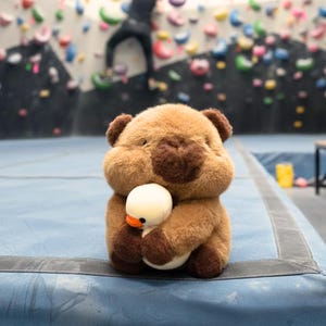 May include: A brown plush bear toy embracing a small white and yellow duck toy. The bear has dark brown details on its ears, nose, and paws. The toys are on a blue surface, with a climbing wall in the background.