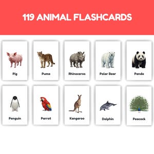 Realistic Animal Flashcards – Montessori Learning Cards (PDF Download)