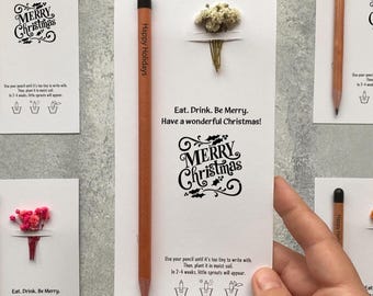 Puede incluir: Una tarjeta blanca con el texto "Merry Christmas" y un lápiz con "Happy Holidays" impreso. La tarjeta tiene un pequeño ramo de flores secas adjunto. La tarjeta también incluye instrucciones sobre cómo plantar el lápiz.