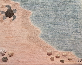 Dibujo de tortuga marina en la playa con conchas marinas.