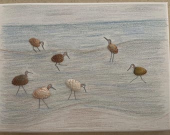 Playeros de concha sobre lienzo