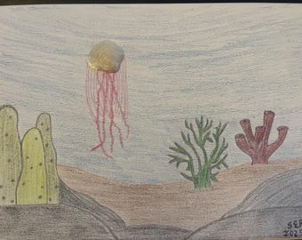 Dibujo de medusa con concha marina, lienzo de 9x12 pulgadas