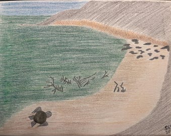 Dibujo de tortuga marina en la playa