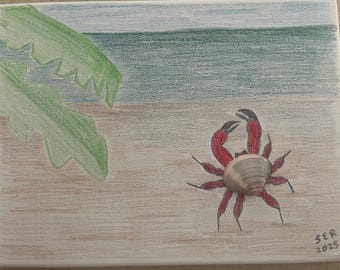 Cangrejo rojo con concha sobre lienzo