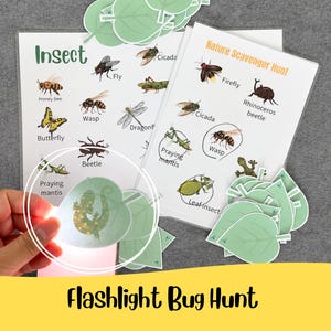 Puede incluir: Un set de actividades Flashlight Bug Hunt con dos hojas blancas laminadas con ilustraciones de insectos y etiquetas, incluyendo una luciérnaga, una avispa y una mantis religiosa. El set incluye varios recortes en forma de hoja verde.