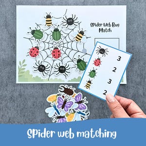 Könnte beinhalten: Ein Spider Web Bug Match Arbeitsblatt mit einer schwarzen Spinnennetz-Illustration und verschiedenen Insekten-Ausschnitten, darunter Bienen, Marienkäfer und Spinnen. Eine passende Karte zeigt Insektensymbole mit zugehörigen Zahlen sowie einen Stapel bunter Insekten.