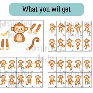 May include: A set of illustrated monkey-themed educational materials. The image includes a monkey with detachable limbs and a banana, along with multiple cards featuring monkeys in various poses. The text "What you wil get" is at the top.
