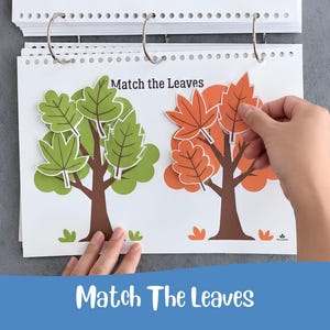 May include: A white spiral-bound activity page titled Match the Leaves featuring two illustrated trees. One tree has green foliage and the other has orange foliage. Detachable paper leaves in green and orange are included for matching.