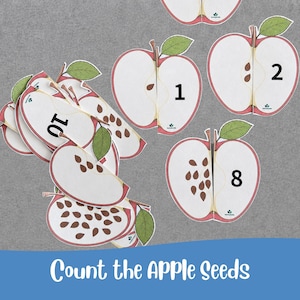 Pode incluir: Um conjunto de cartões educativos em forma de maçã com ilustrações de metades de maçãs, exibindo um número variável de sementes e os algarismos correspondentes. O texto "Count the APPLE Seeds" está impresso em branco numa faixa azul.