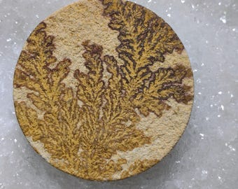 Psilomelane Dendrite Cabochon, Tree-Like Iron Dendrites, 50mm Gem