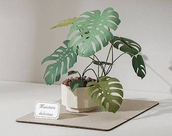 May include: A papercraft model of a Monstera deliciosa plant in a white pot. The plant has large, green leaves with holes in them. The pot is sitting on a brown surface. The plant is labelled "Monstera deliciosa".