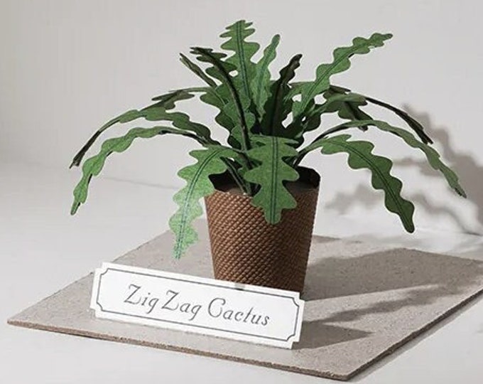 Paper Model DIY Kit  |  Forever Green—Zig Zag Cactus｜魚骨仙人掌