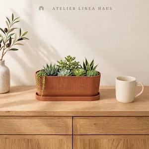 Trio Succulent Planter with Drainage and Drip Tray, Ribbed Indoor Pot