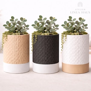 May include: Three cylindrical planters with textured patterns and a two-tone design. The planters are beige, black, and white, each with a white or beige base. Each planter is filled with greenery and small plants. The Atelier Linea Haus logo is in the top right corner.