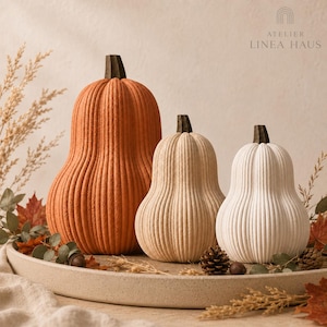 Geribbelde decoratieve pompoen, herfstdecoratie, kleine of grote pompoen, pompoenset, minimalistische woondecoratie