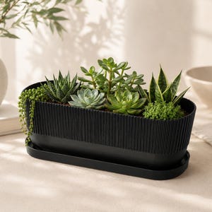 Modern Trio Planter with Drainage Holes, Drip Tray, Succulent Planter, Indoor Window Planter, Minimalist Home Decor, Housewarming Gift