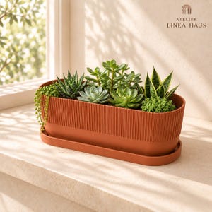 May include: An elongated terracotta-colored planter with a ribbed texture and matching saucer, containing a variety of green succulents including a trailing string of pearls, a spiky haworthia, and a small snake plant, with ATELIER LINEA HAUS text.
