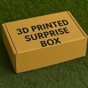 Può includere: Scatola rettangolare di cartone marrone chiaro con la scritta nera "3D PRINTED SURPRISE BOX". La scatola è appoggiata su una superficie verde.
