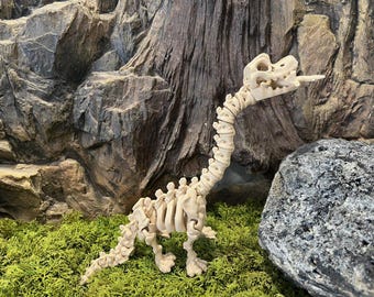 Colección de esqueletos de dinosaurios flexibles – Juguetes articulados impresos en 3D de 19 a 25 cm