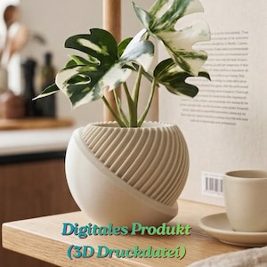 May include: A decorative indoor plant with green and white leaves in a cream-colored, textured pot. The pot sits on a wooden shelf next to books, a coffee cup, and a bottle of olive oil. The text "Digital Product (3D Print File)" is visible.