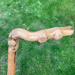 Peut inclure: Bâton de marche en bois artisanal avec une poignée incurvée. La poignée présente une forme naturelle et organique avec des nœuds visibles et une couleur brun clair. La tige est une pièce de bois droite et robuste, également brun clair. Conçu pour le soutien et l'équilibre.