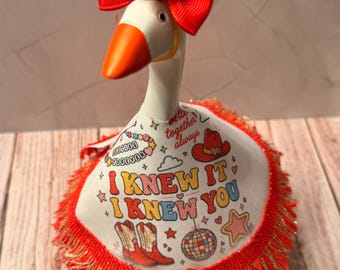 Retro Friendship Bracelet Goose Dress | Western Desk Goose Outfit