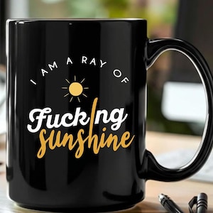 Sarcastic Funny Coffee Mug, Ray of Sunshine Gift, cp03