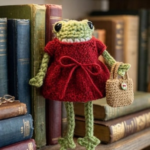 May include: A crocheted frog doll with a green head and legs, wearing a red dress and carrying a small tan handbag. The frog is posed on a wooden shelf in front of a collection of antique books.