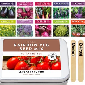 Rainbow Vegetable Seeds Kit – 10 Varieties | Colourful Gardening Gift for Families & Kids