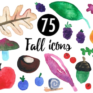 Watercolor Fall Clipart - Autumn Clipart - Herbst - Instant Download - Fall - Autumn - mushrooms - leaves - berries - nuts