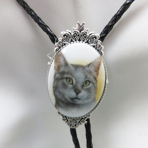 Gray Kitty Cat Bolo Tie, Handmade, Feminine Bolo Tie