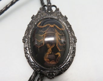 Real Scorpion in Clear Resin Bolo Tie, Gothic Steampunk Bolo Tie