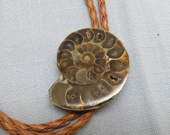 Madagascar Snail Shell Bolo Tie, Handmade Bolo Tie